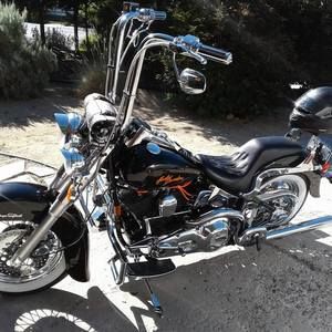 Meet your Posher, Billy